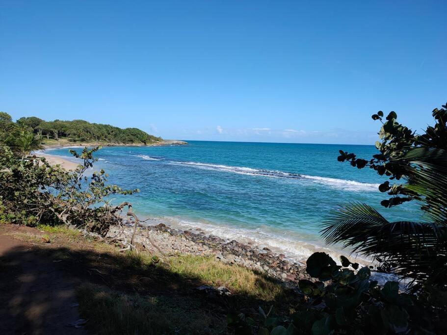Haut De Villa Avec Vue Sur La Mer Sainte-Rose Buitenkant foto