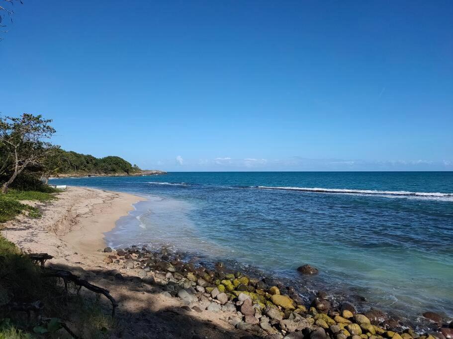 Haut De Villa Avec Vue Sur La Mer Sainte-Rose Buitenkant foto
